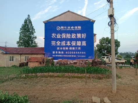 柳州墙体广告的优劣势你知道吗?